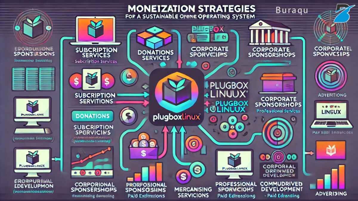 Infographic on PlugboxLinux Tech's monetization strategies, highlighting innovation and financial growth.