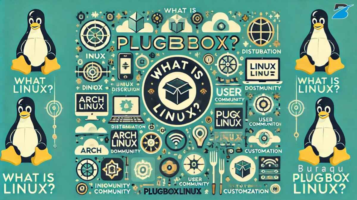 Image of PlugboxLinux history and community